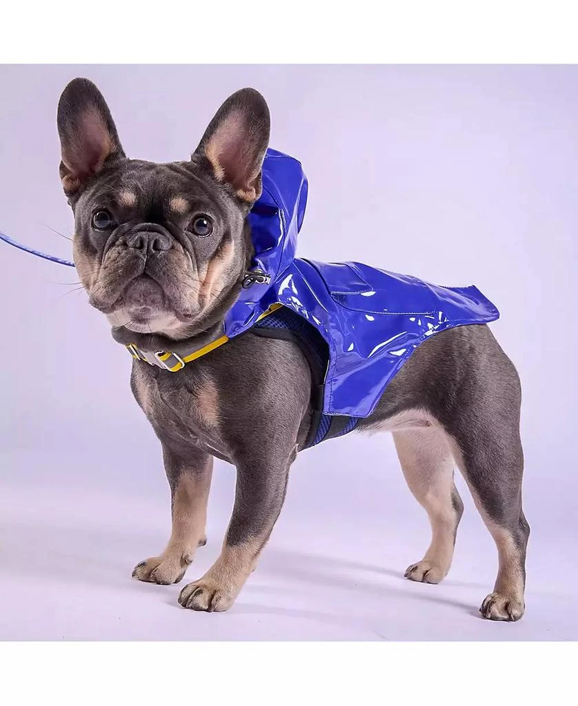 Tommy Bahama Pet Raincoat 
Apparel Harness - Blue