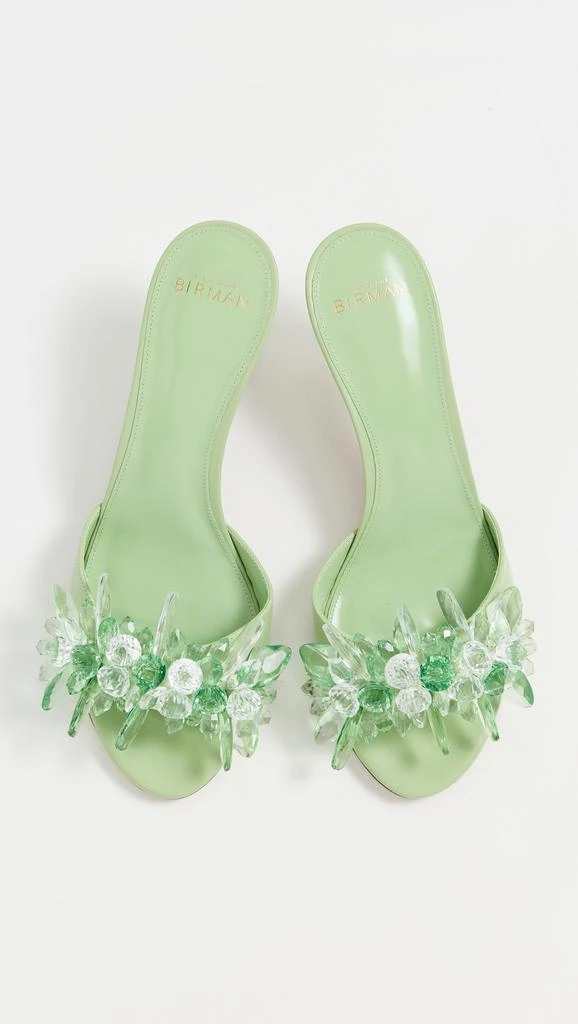 Alexandre Birman Sierra Sandals 5