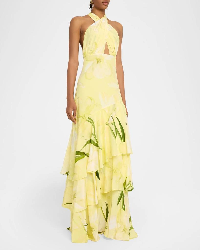 Cara Cara Amethyst Printed Tiered Silk Gown 4