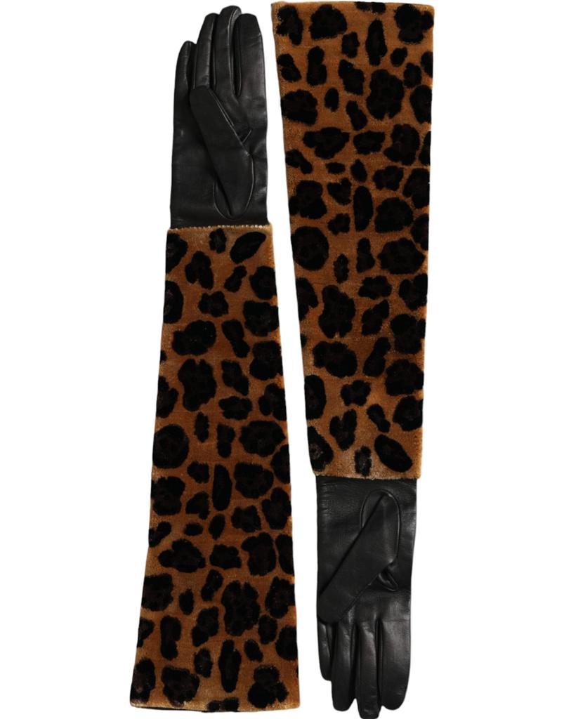 Dolce & Gabbana Leopard Leather Elbow Length Women's Gloves