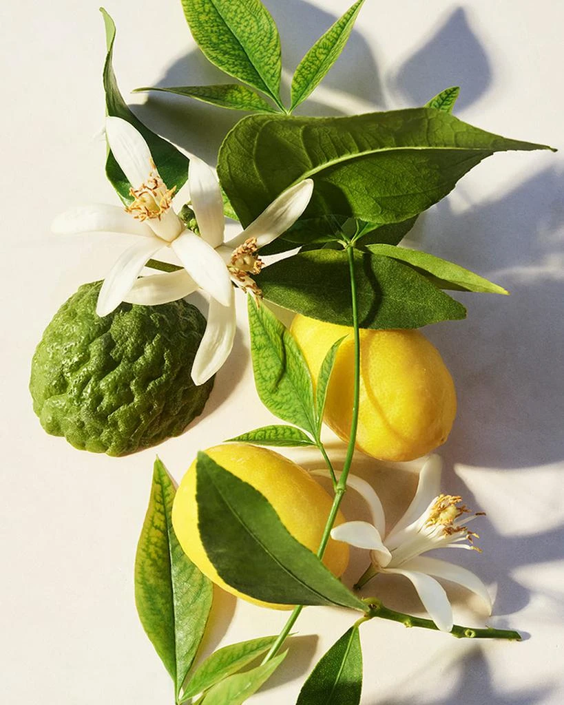 BVLGARI Eau Parfumée Thé Vert Shower Gel, 10.1 oz. 4