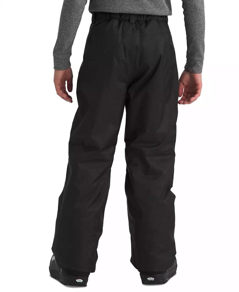 The North Face Big Boys Freedom Insulated Pants