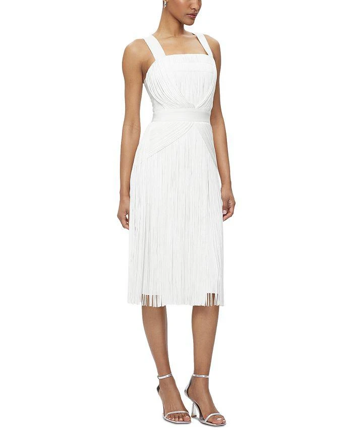 Herve Leger Marion Fringe Dress 5