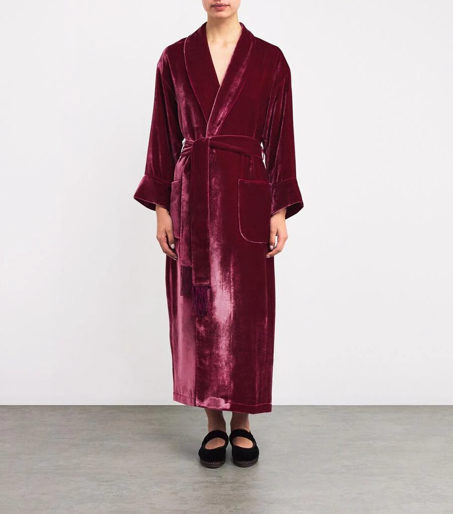 Daniel Hanson Velvet Silk-Lined Robe 3