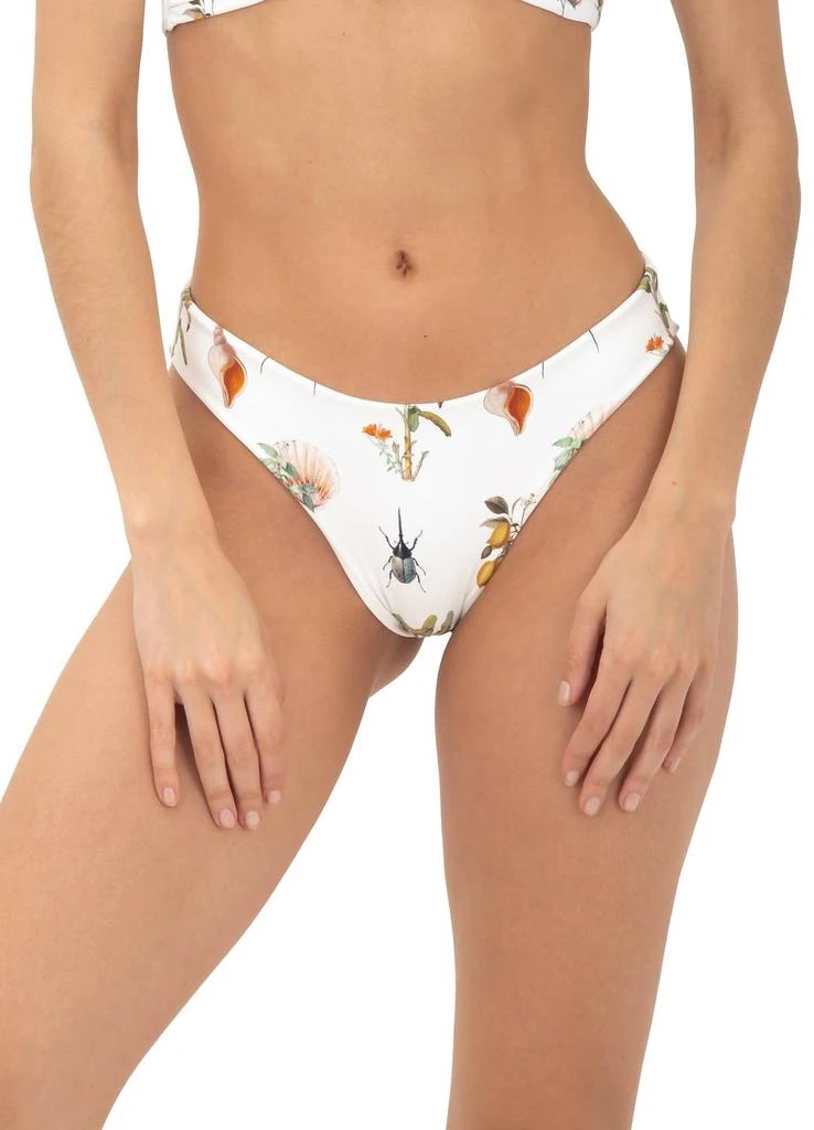 Malai Malai - Paramount Bikini Bottom