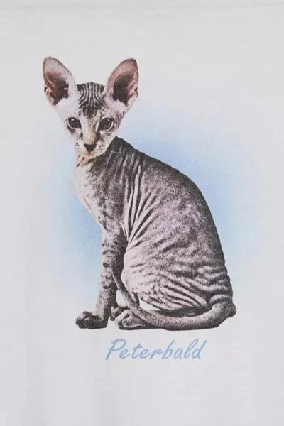 Urban Outfitters Peterbald Cat Graphic Tee 2