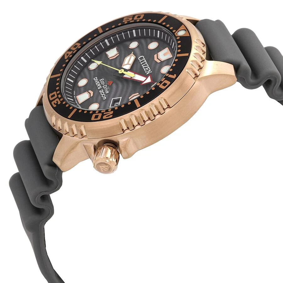 Citizen Promaster Dive Eco-Drive Gray Dial Men's Watch BN0163-00H 2