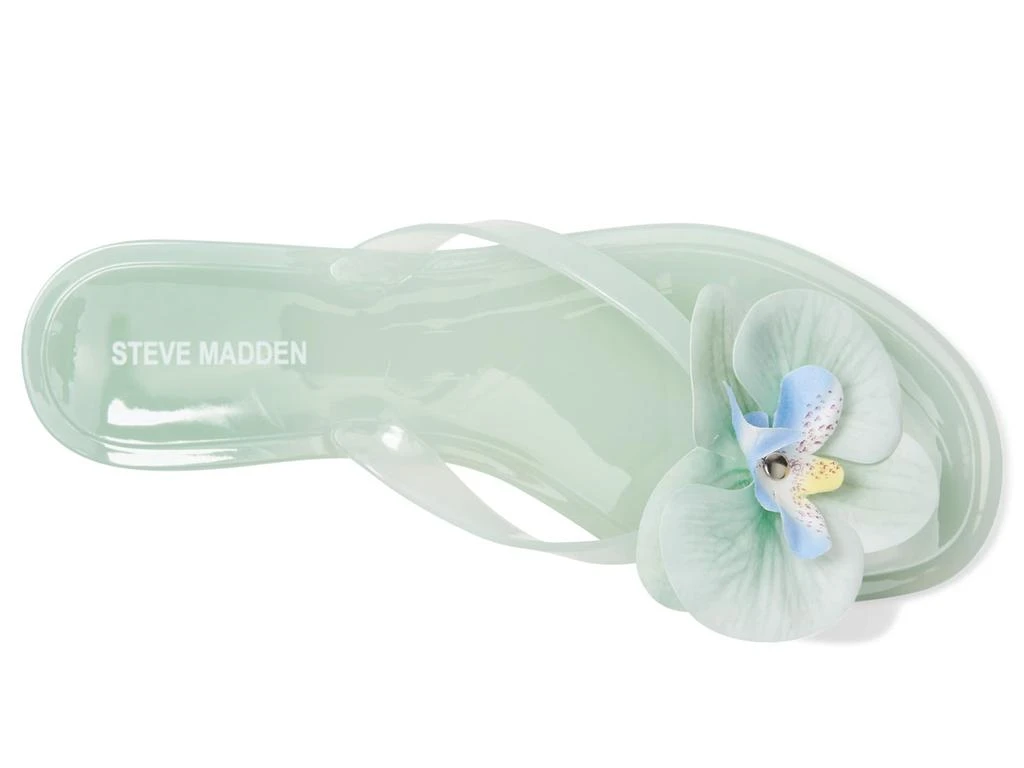 Steve Madden Poppyseed 2