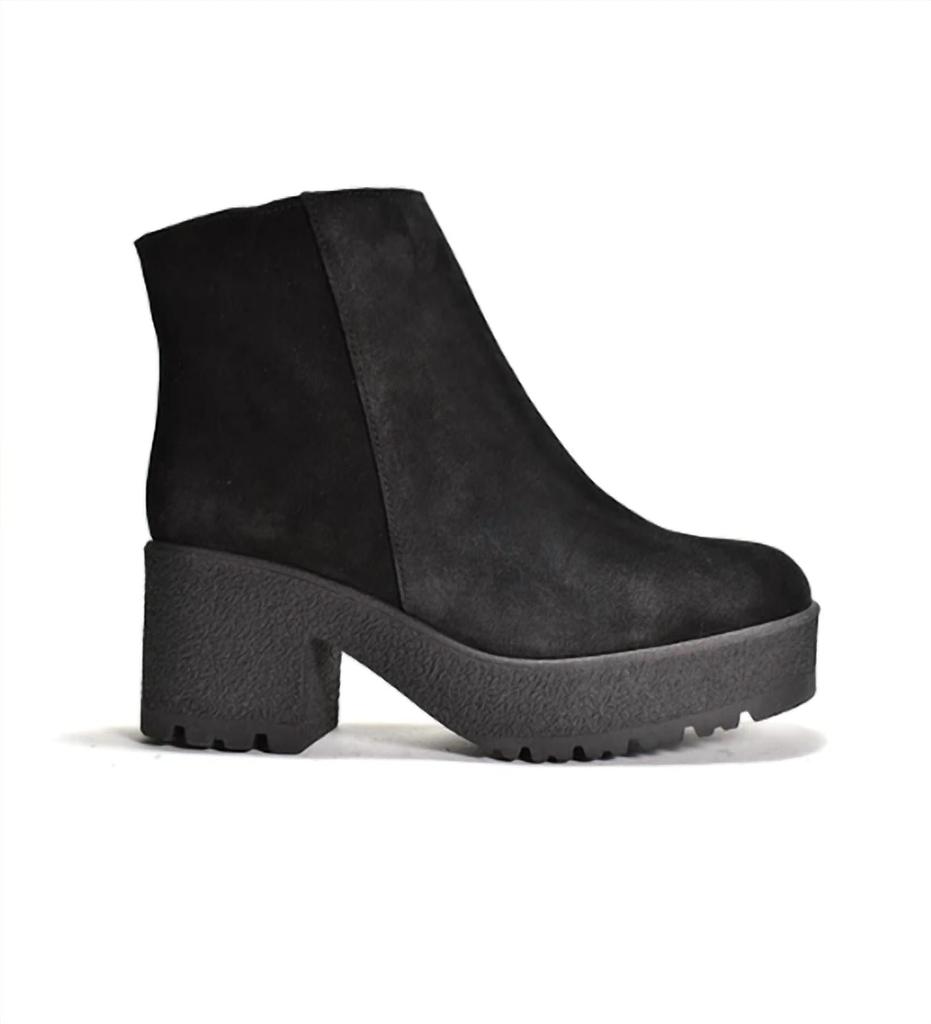 CORDANI Cordani - Suede bootie