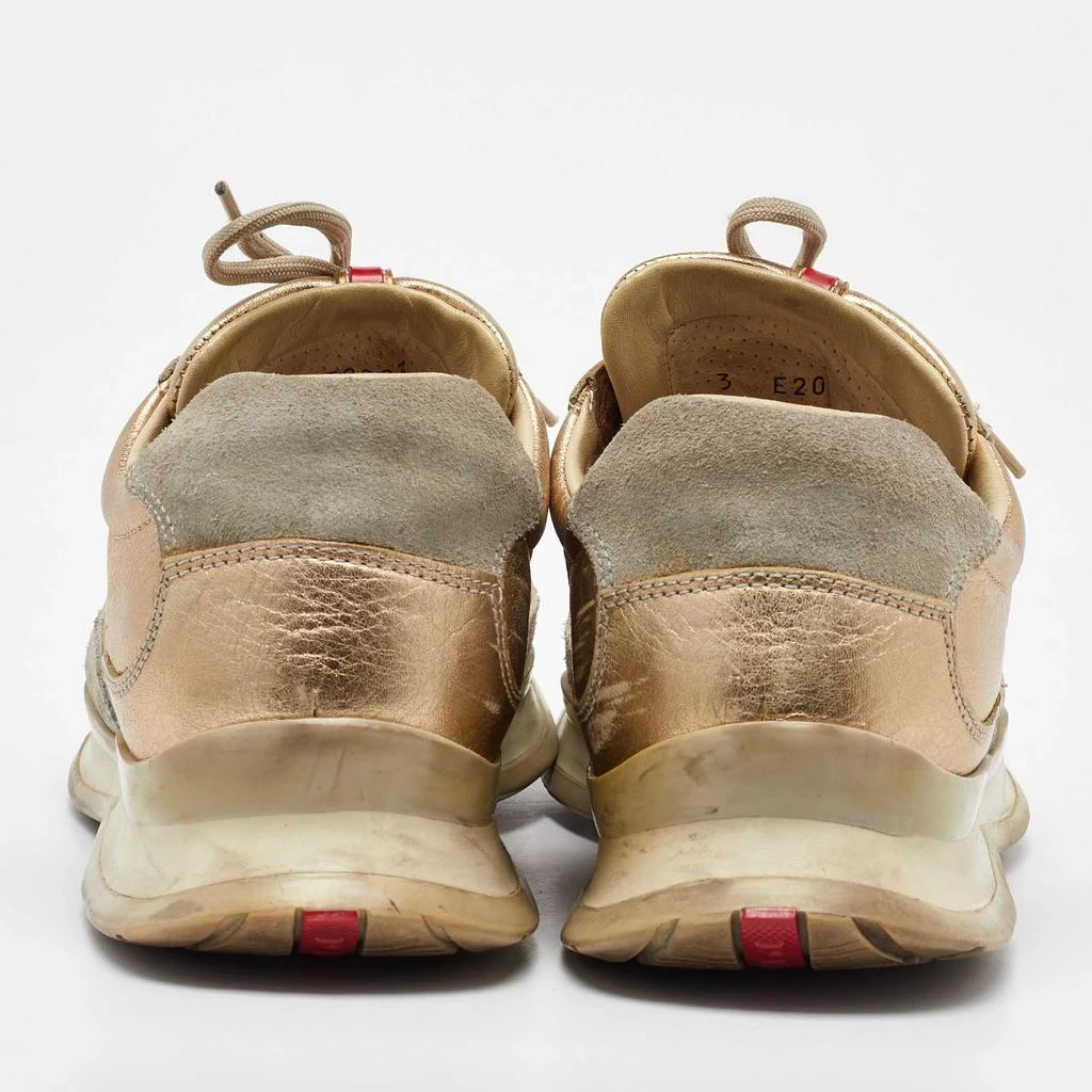 Prada Prada Sport Beige/Gold Leather and Suede America's Cup Low Top Sneakers Size 39.5 5