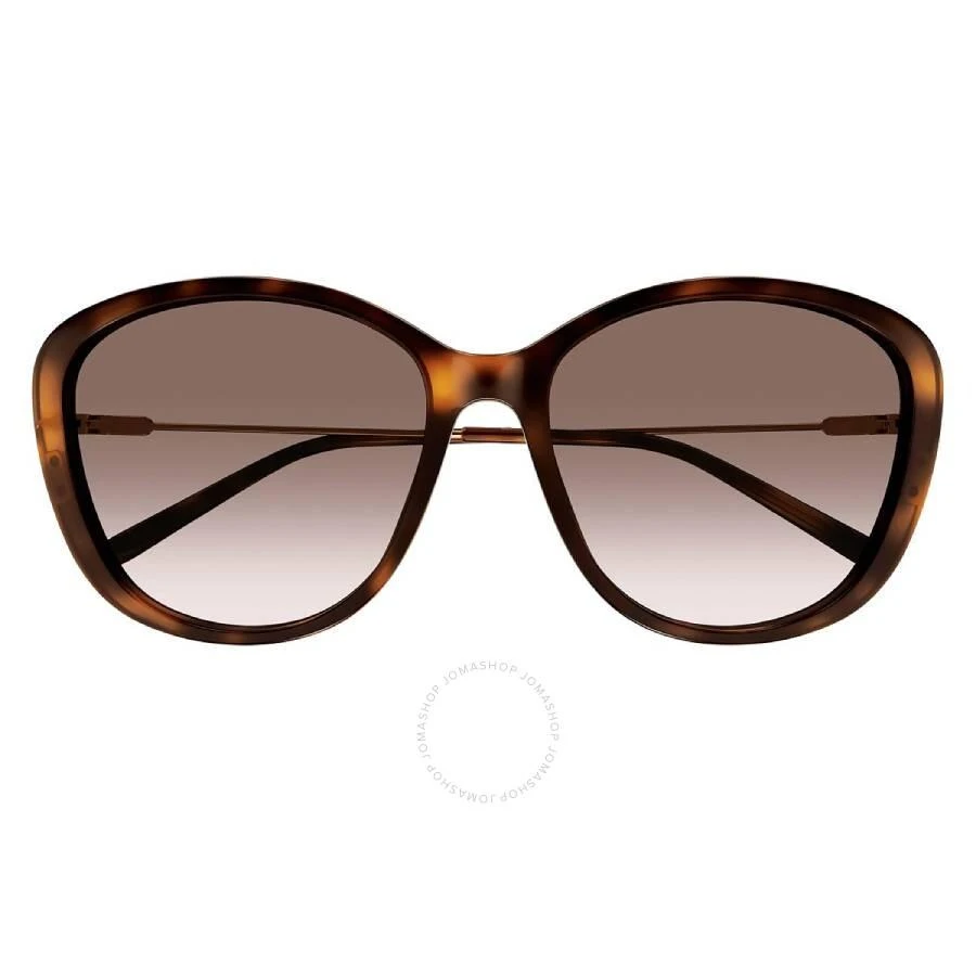 Chloé Brown Gradient Butterfly Ladies Sunglasses CH0175SK 002 59 1