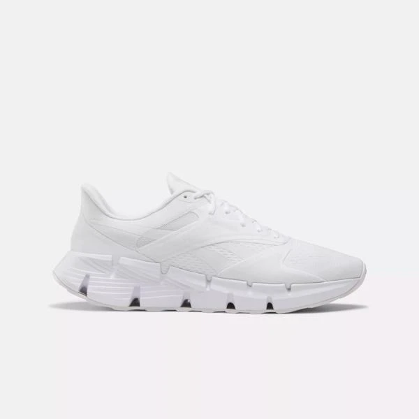 Reebok Zig Dynamica 5 Shoes 1