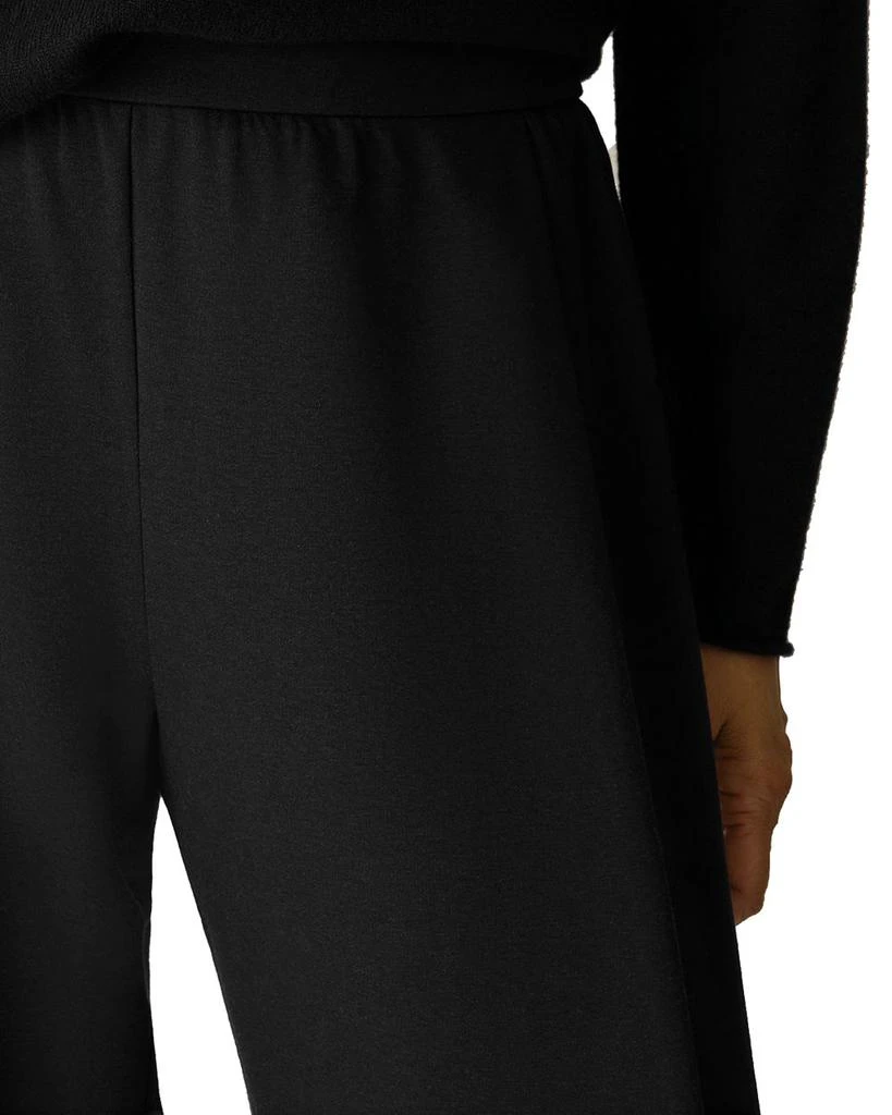 Eileen Fisher Straight Ankle Pants 4