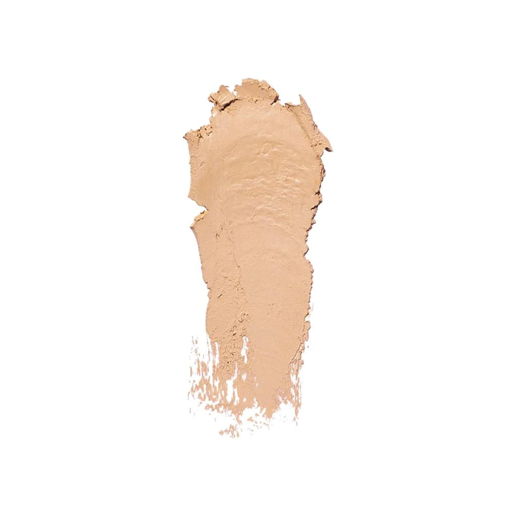 Bobbi Brown Skin Foundation Stick 193