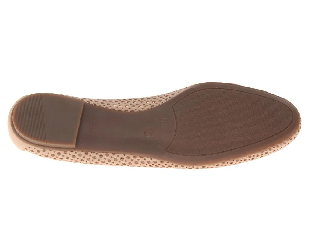 French Sole League 3