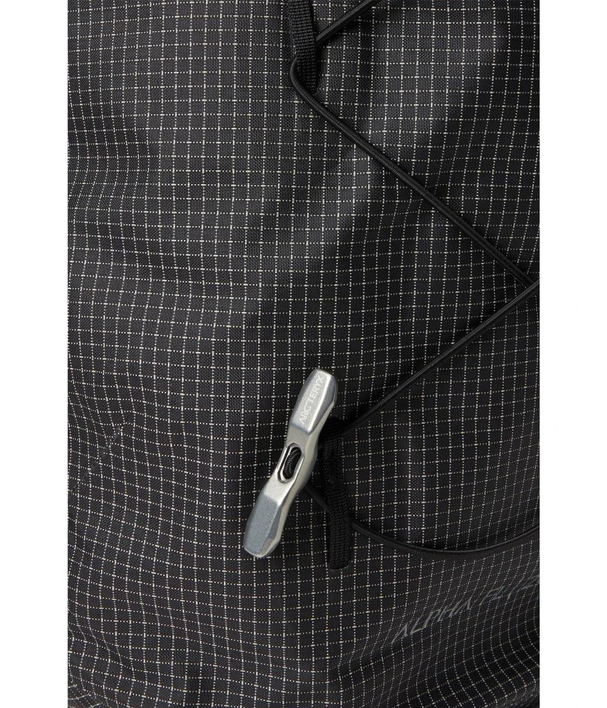 Arc
teryx Alpha FL 20 Backpack 4