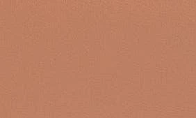 Off-White Clam Wallet on a Chain 8