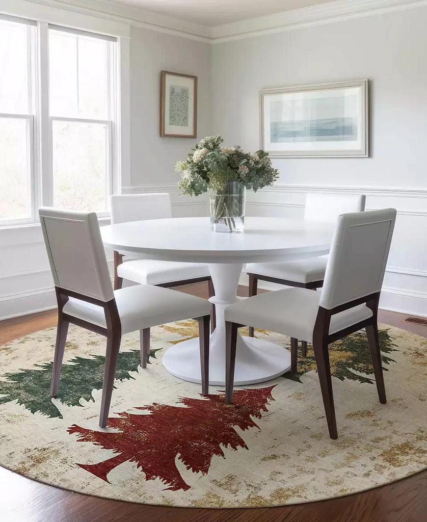 Addison Holiday Washable Indoor/Outdoor ACN1811 8
x8
 Round Area Rug 4