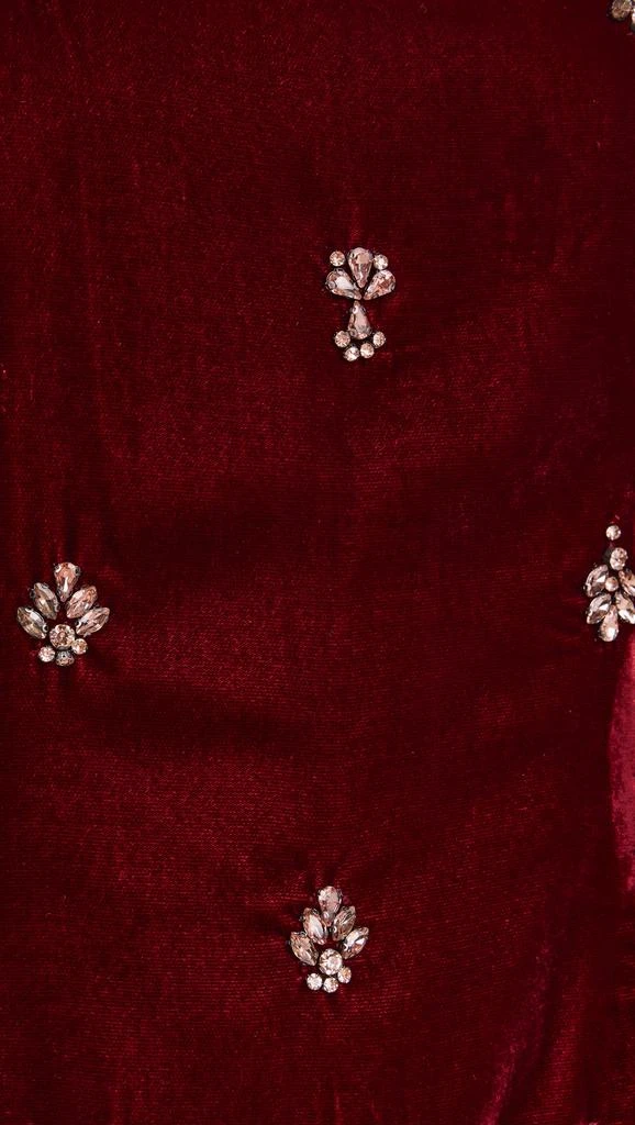 MISA Delaney Velvet Dress 5