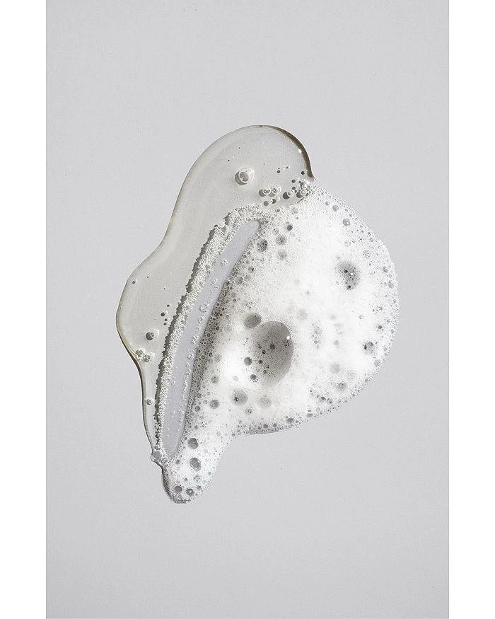 Oribe Signature Shampoo 3