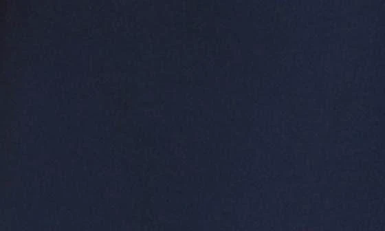 Quiksilver Surfksilk Holmes Swim Trunks 4