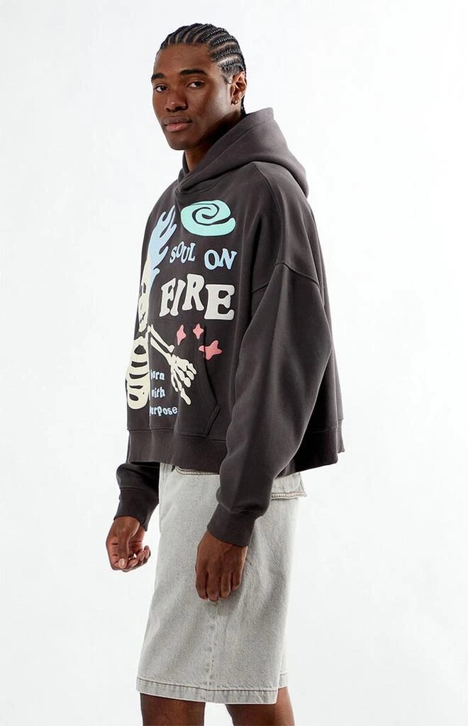 PacSun Soul On Fire Cropped Hoodie 3
