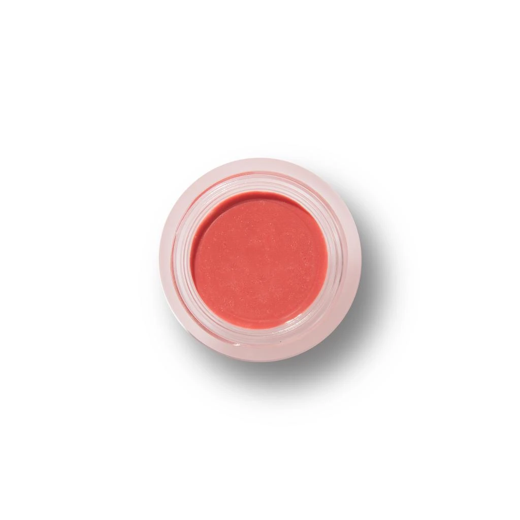 100% Pure Fruit Pigmented® Lip & Cheek Tint: Shimmery Cocoa Berry 1