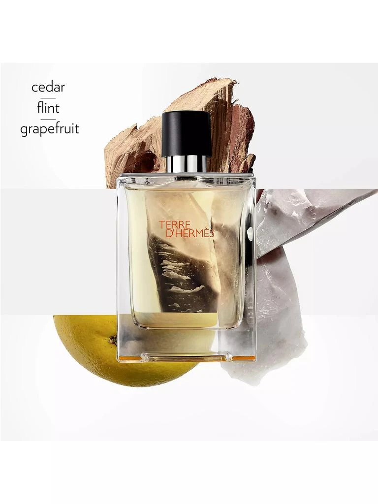 Hermes Terre d'Hermes Eau de Toilette 4