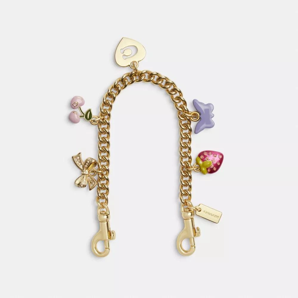 Coach Gold Swagger Chain With Charms 1