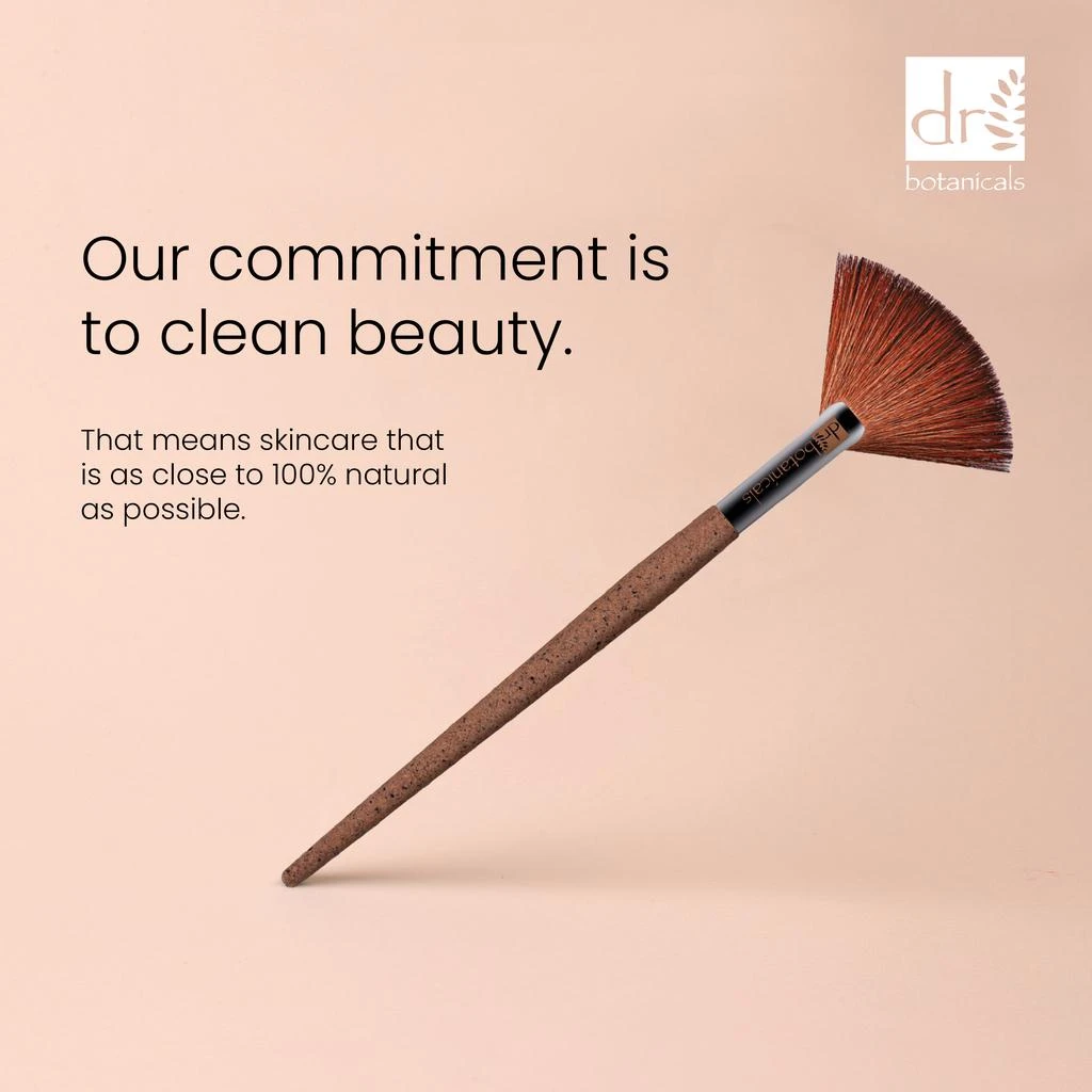 Dr. Botanicals Coffee Ground Fan Brush 3
