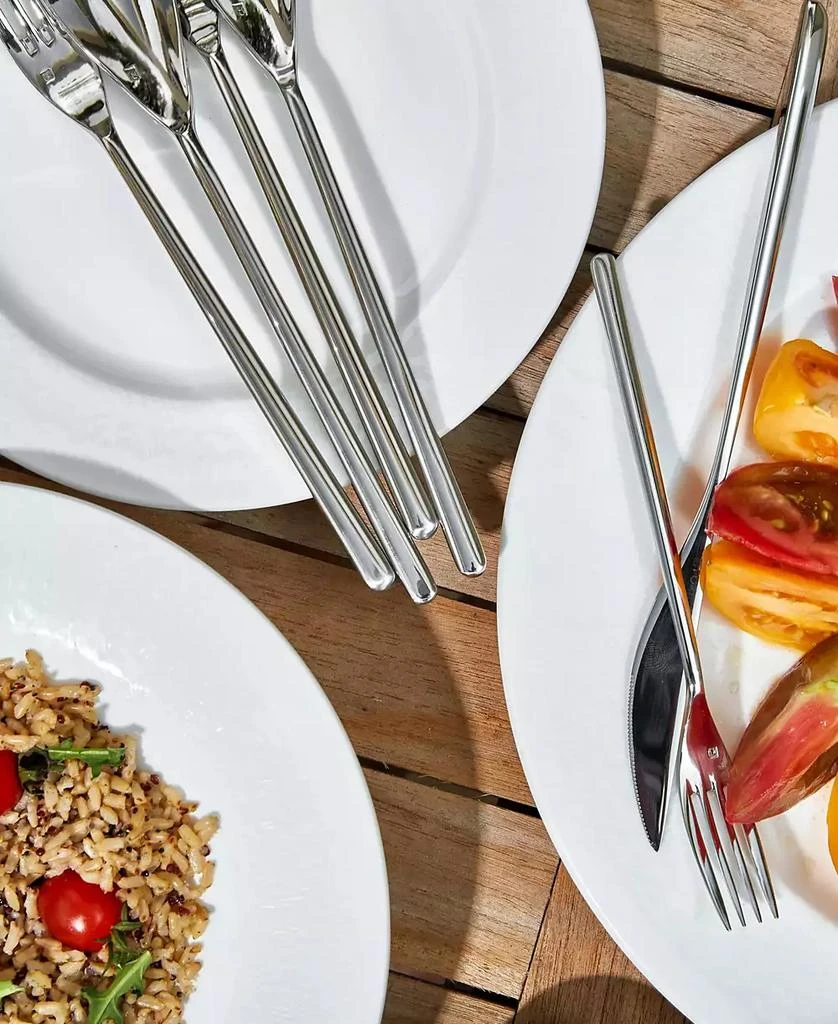 Fortessa Dragonfly 5pc Place Setting 4