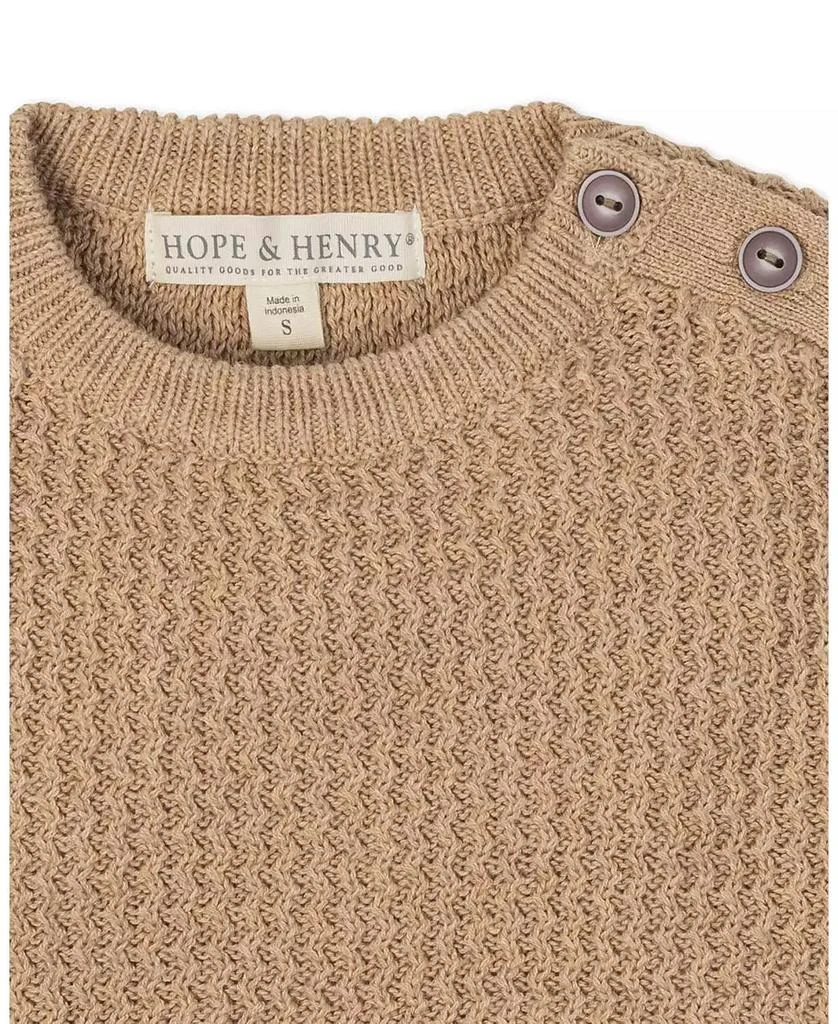 Hope 
Henry Baby Boys
 Organic Long Sleeve Crewneck Sweater with Buttons 3
