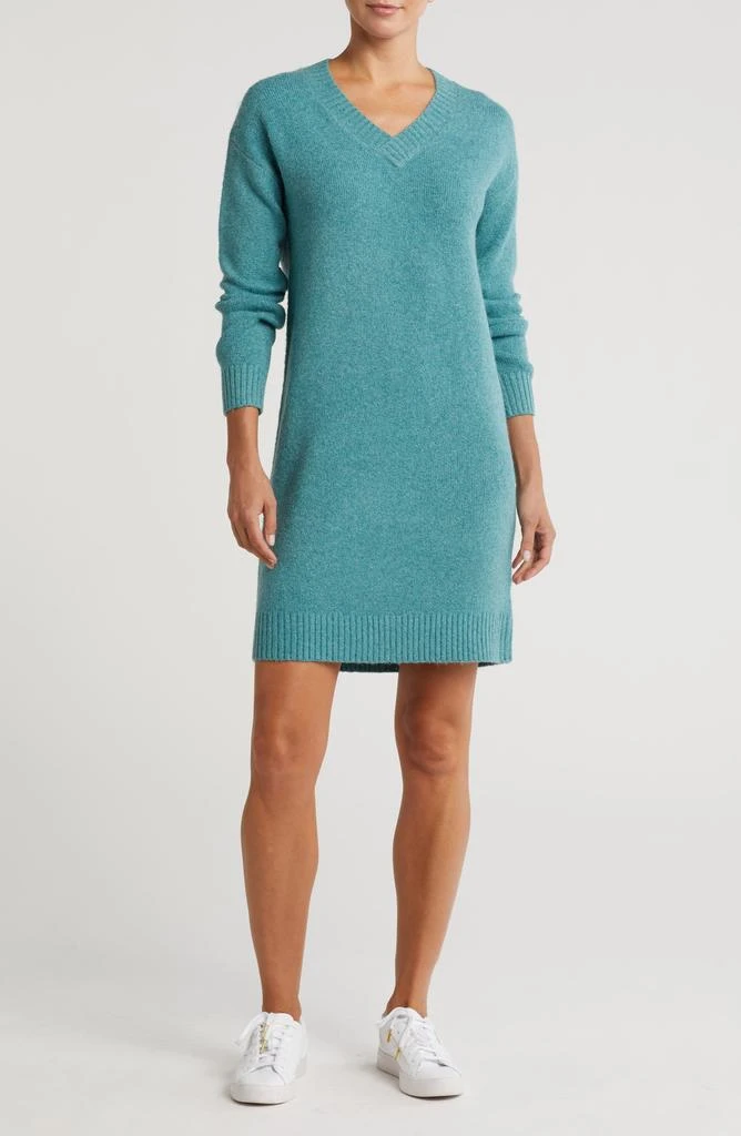 Nordstrom Long Sleeve Sweater Dress 1