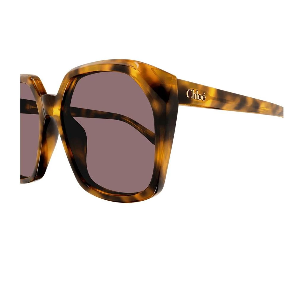 Chloé Chloé Eyewear Salome Oversized Frame Sunglasses 4