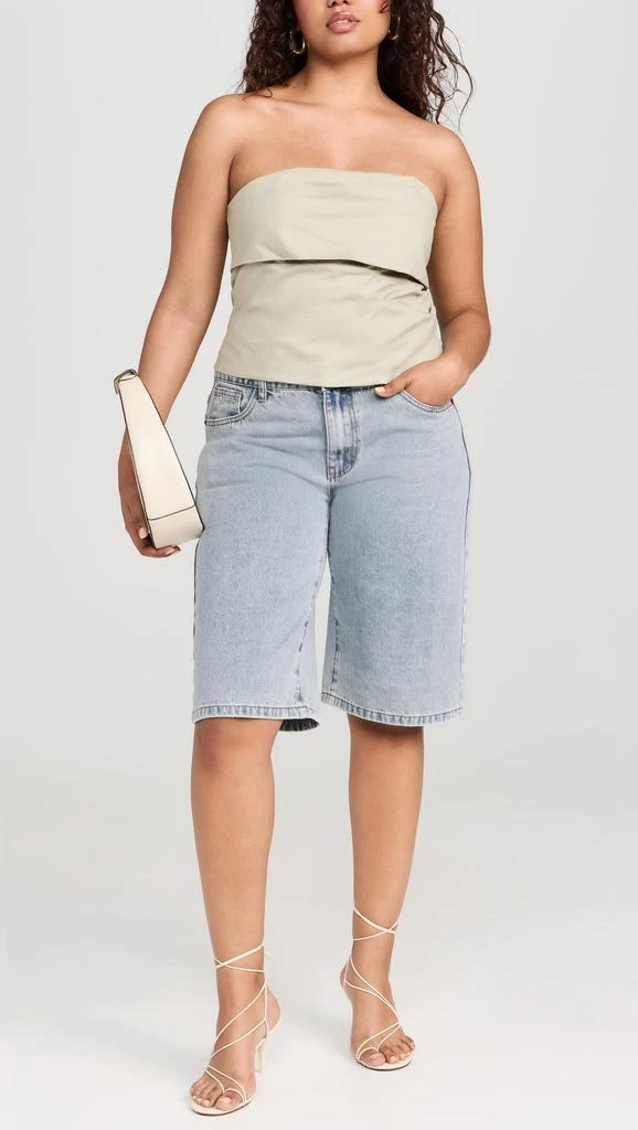 Lioness Kurt Jorts 7