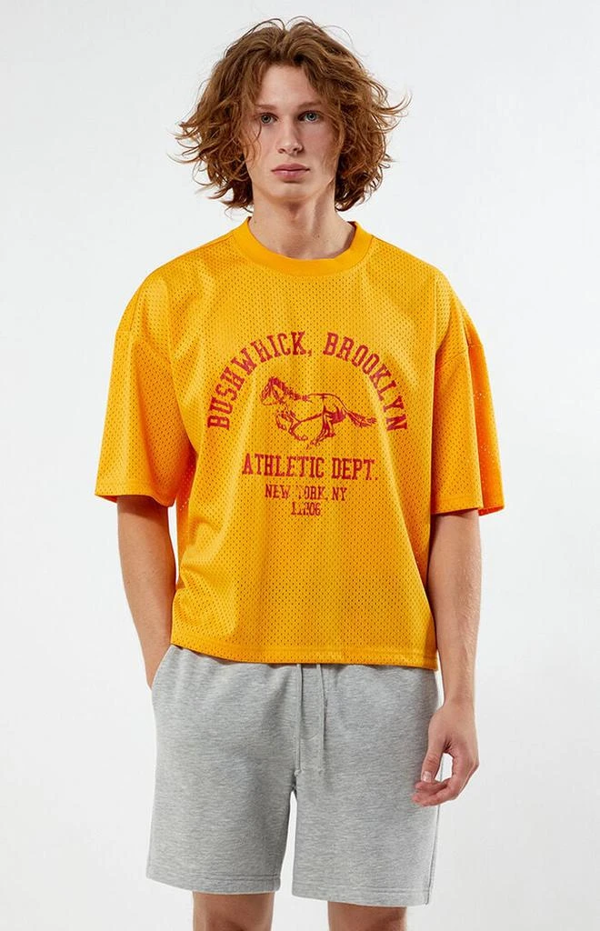 PacSun Leagues Mesh Boxy Cropped Jersey T-Shirt 1