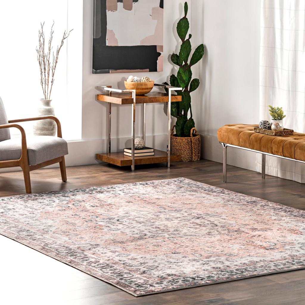 nuLOOM Jasmine Distressed Vintage Medallion Bordered Area Rug