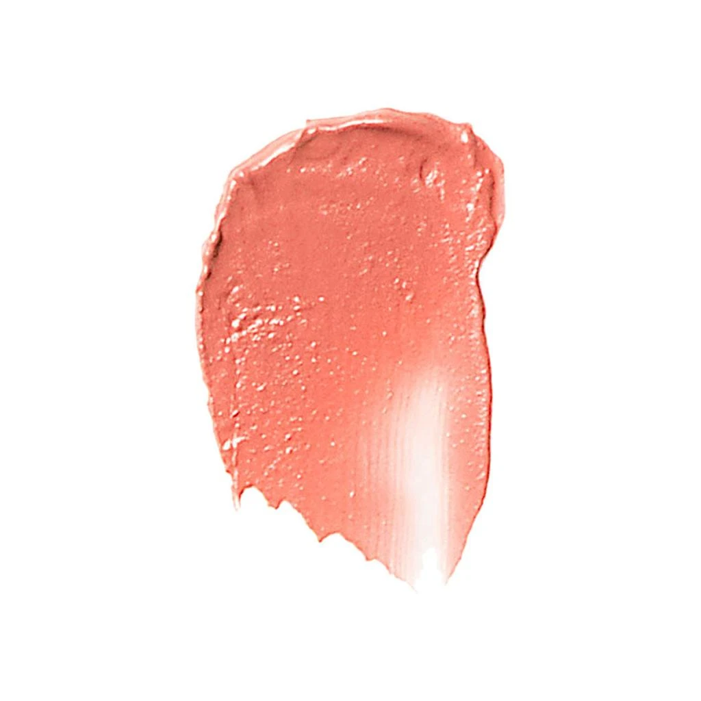 Bobbi Brown Pot Rouge For Lips and Cheeks 2