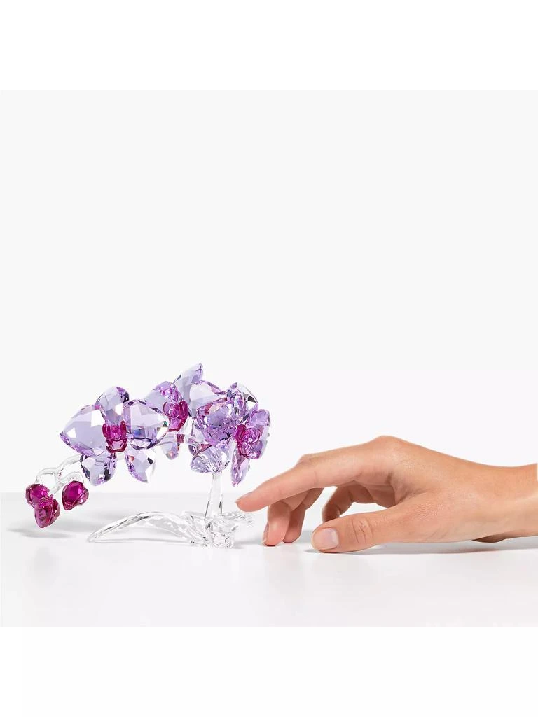 Swarovski Crystal Flowers Orchid 2