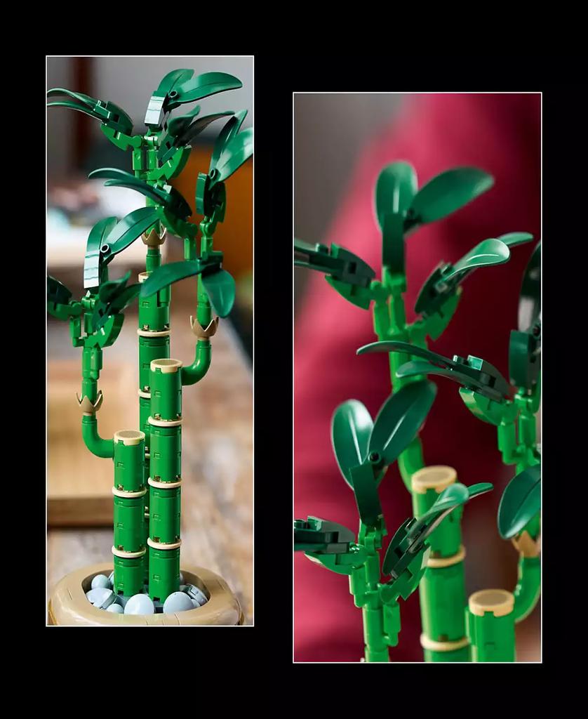 LEGO Botanicals Lucky Bamboo Building Set 10344, 325 Pieces
