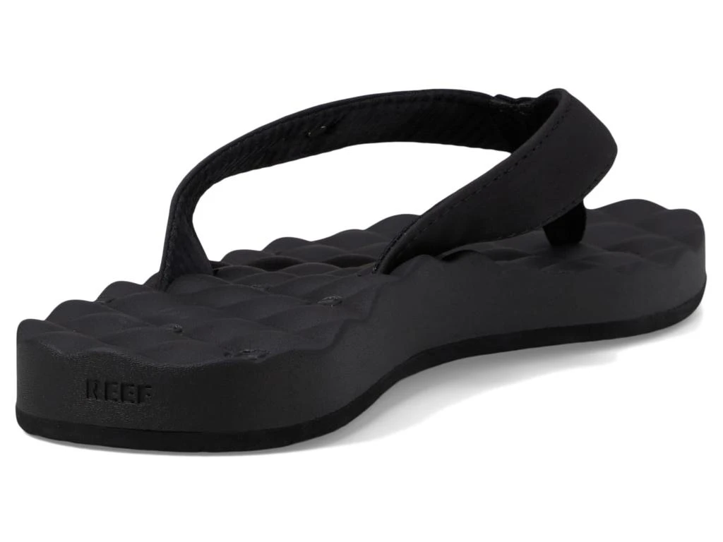 Reef Dreams 5