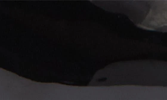 Jeffrey Campbell Karmy Pointed Toe Pump 7