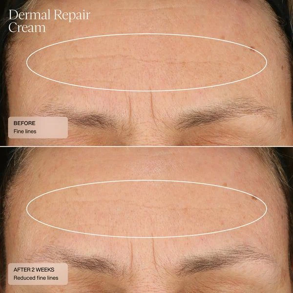 SENTÉ SENTÉ Renew and Brighten Duo 8