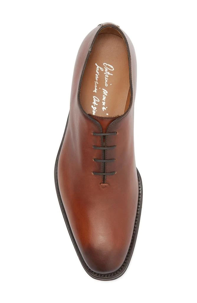 Antonio Maurizi Wholecut Oxford 5