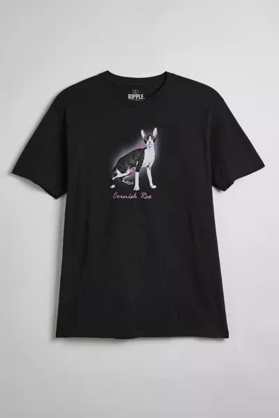 Urban Outfitters Cornish Rex Cat Graphic Tee 1