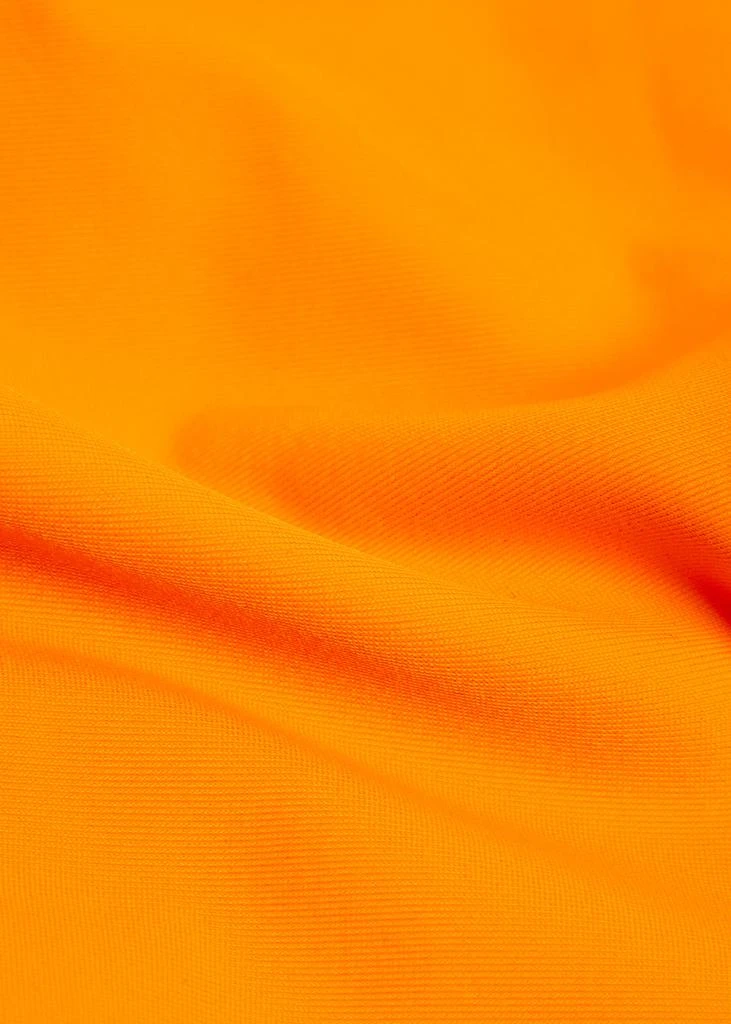 AWAY THAT DAY Fiji bikini briefs 5