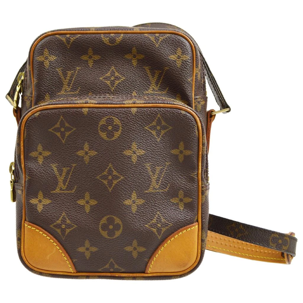 Louis Vuitton Louis Vuitton Amazon leather bag 1