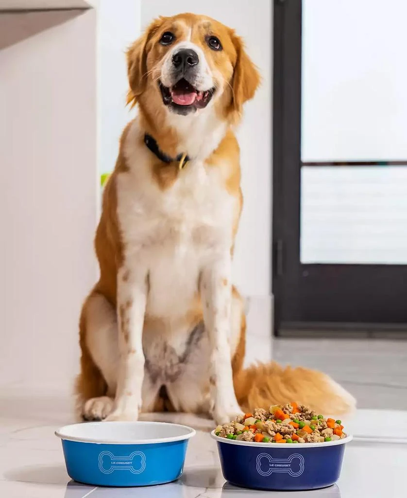Le Creuset 6 Cup Enamel on Steel Pet Bowl with Skid Resistant Base 4