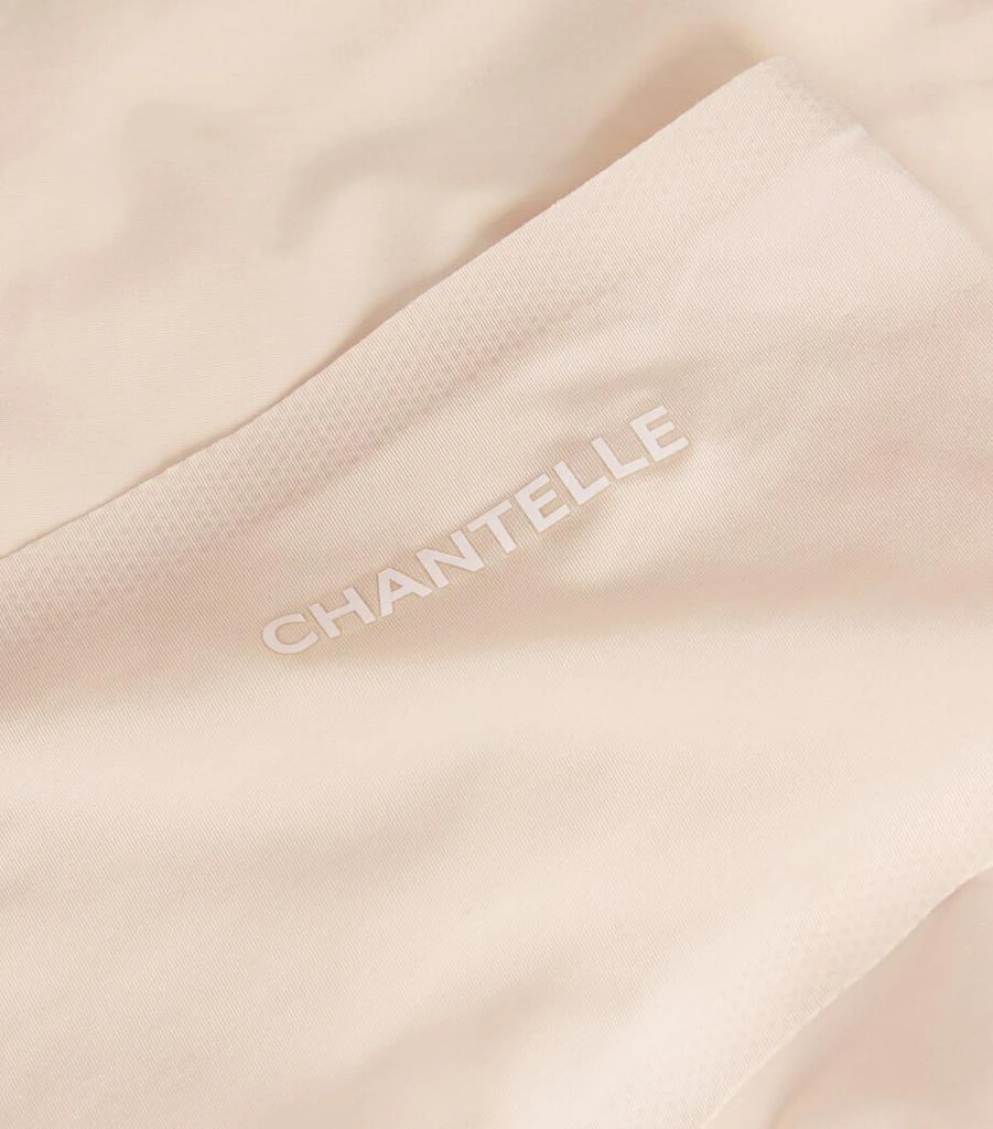Chantelle Seamless Briefs 7