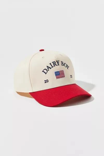 Dairy Boy Dairy Boy Americana Snapback Baseball Hat 1